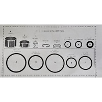 Mattson O'Ring Kit TMV9230
