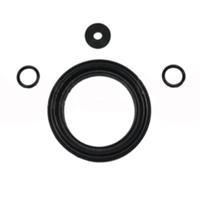 Ari RPZ Relief Rubber Kit