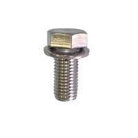 M16x45 Setscrew & Washer