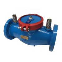150mm Watts Single Check Valve Device Only
(Testable and no bypass)
0723BCM