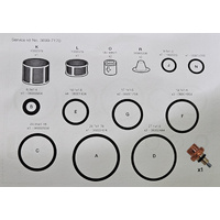 Mattsson 5Yr Kit 5190/9219 TMV