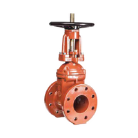 100mm Gate Valve T/E