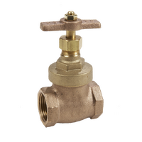 50mm Brass Gate Valve T-Handle