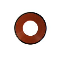 Watts SCV 150mm Repair Kit